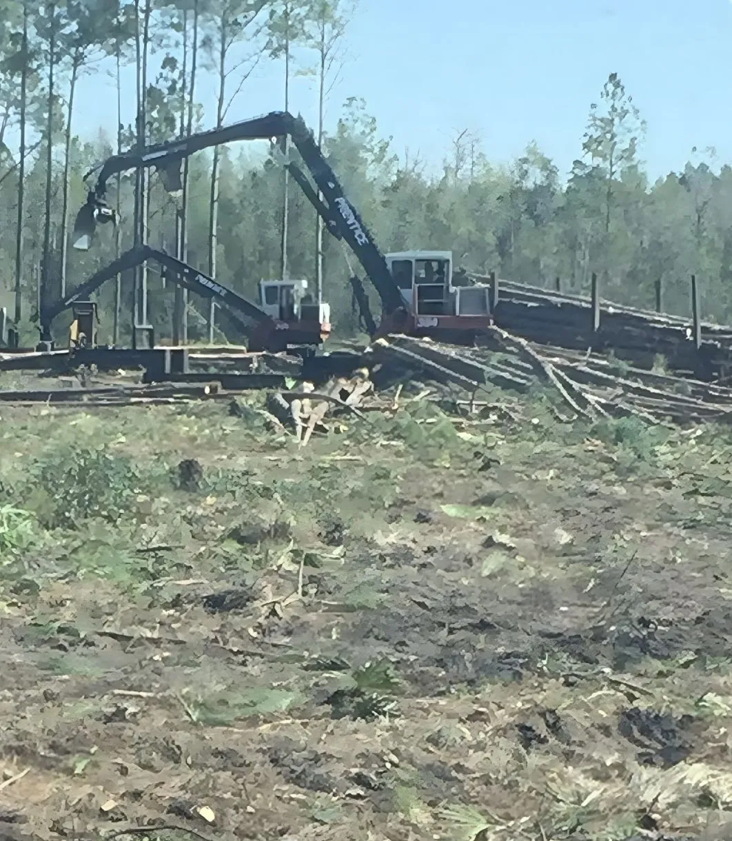 Timber Harvesting